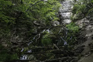 Dunning´s Springs 2