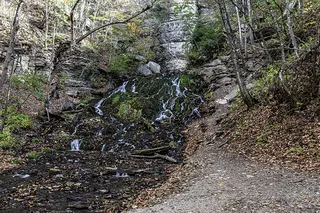 Dunnings Spring 10-16-2023