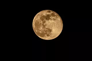 Pink Moon