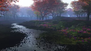 Nature´s Colors