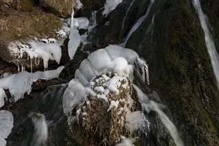 Ice Lobster