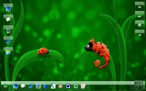 Chameleon