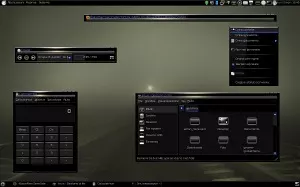 BlackRain DarkSide Port