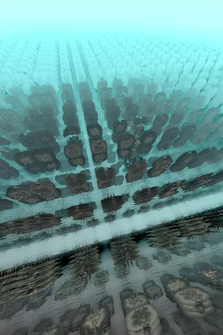 High voltage
